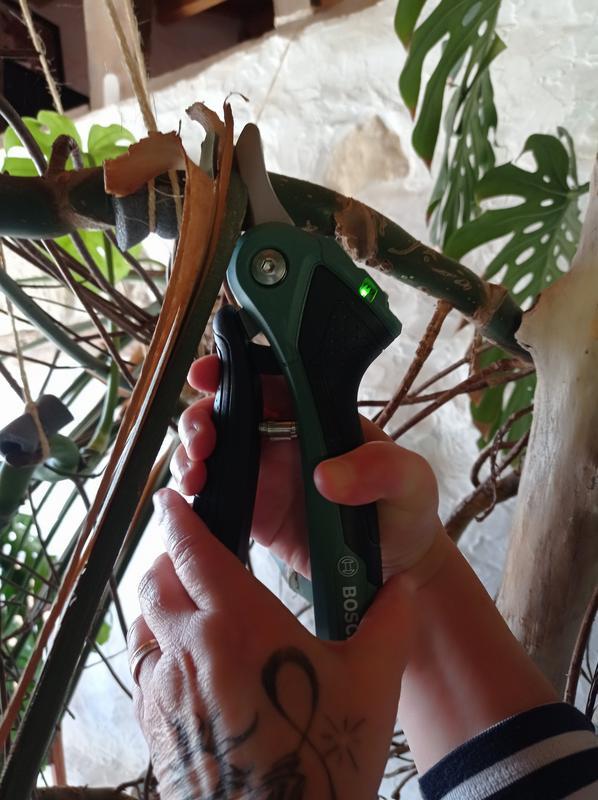 Revisione aperta modale 4 su 6