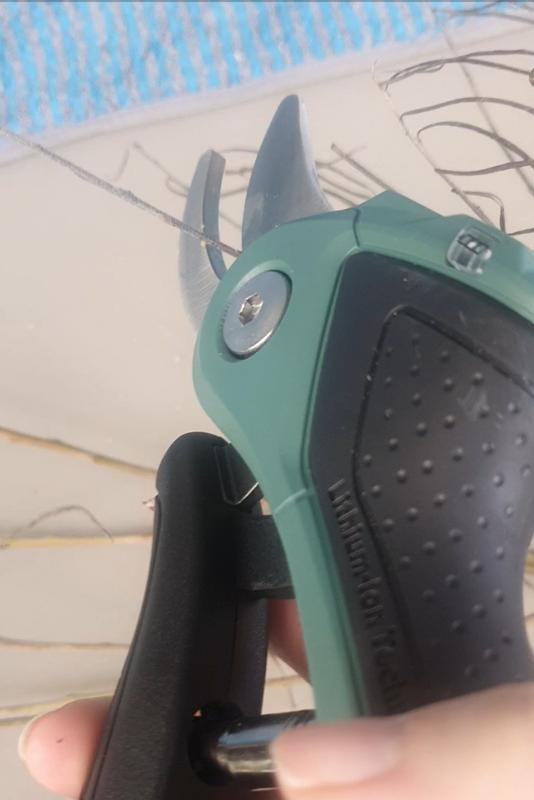 Revisione aperta modale 2 su 3