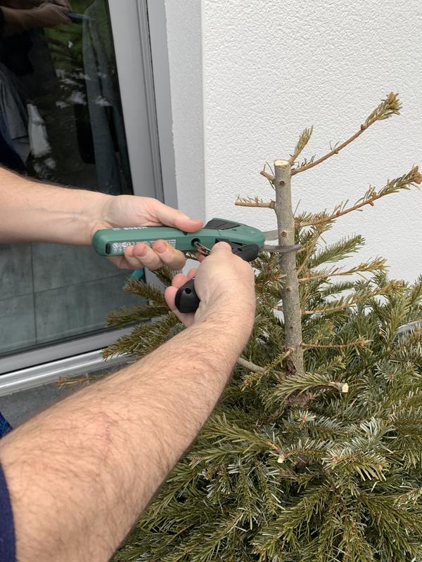 Revisione aperta modale 2 su 2