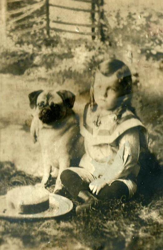 Safe for both my grandson and my dog