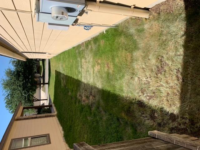 Before treatment front yard