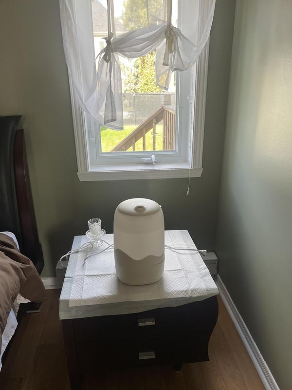 Review Thumbnail Image 0 362183541