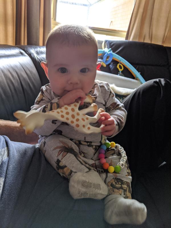 sophie the giraffe chemist warehouse
