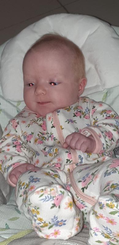 ingenuity comfort 2 go portable swing kendrick