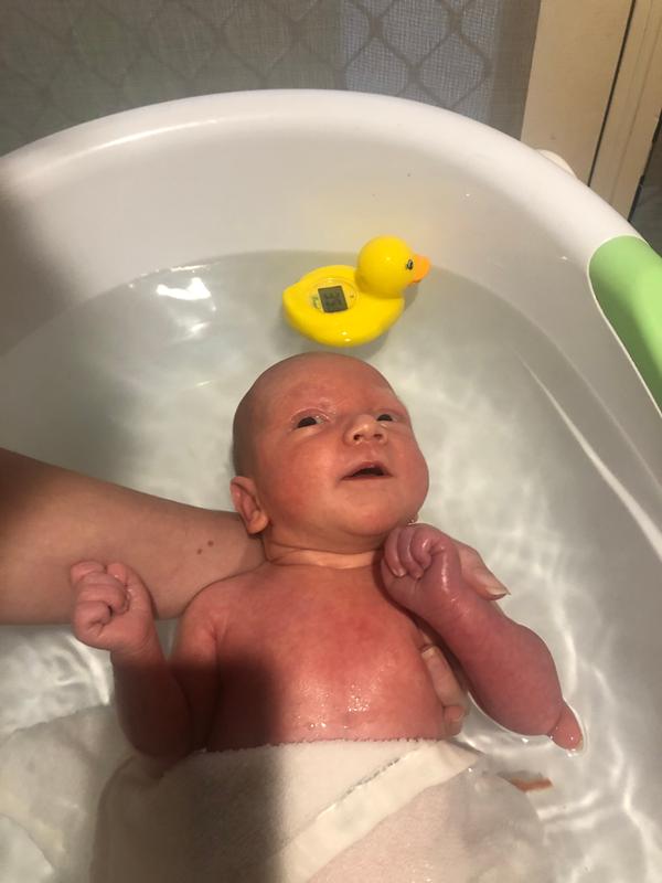 oricom duck thermometer