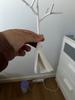 Customer review photo 3