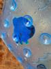 Mould