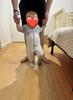Customer review photo 1