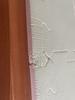 Customer review photo 5