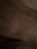Customer review photo 1