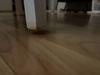 Customer review photo 2