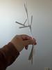 Customer review photo 2