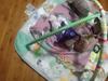 Customer review photo 1