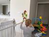 Customer review photo 5