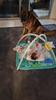 Customer review photo 1