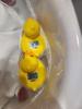 Two little ducks