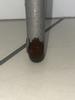 Customer review photo 5