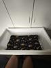 Customer review photo 3