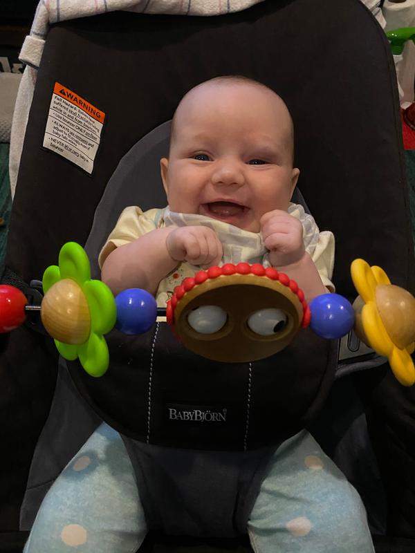 baby bjorn toy bar