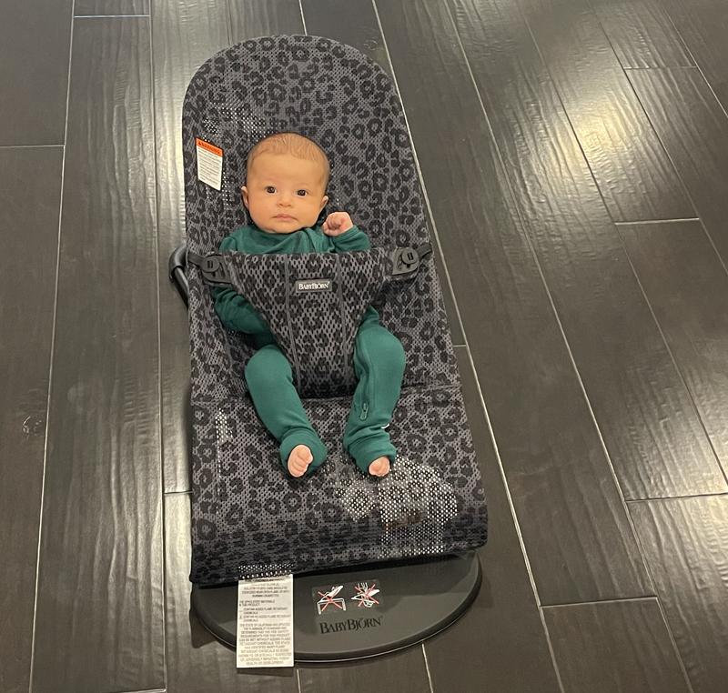 Baby bjorn bouncer bliss review online