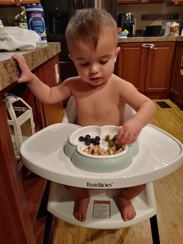 baby bjorn replacement tray