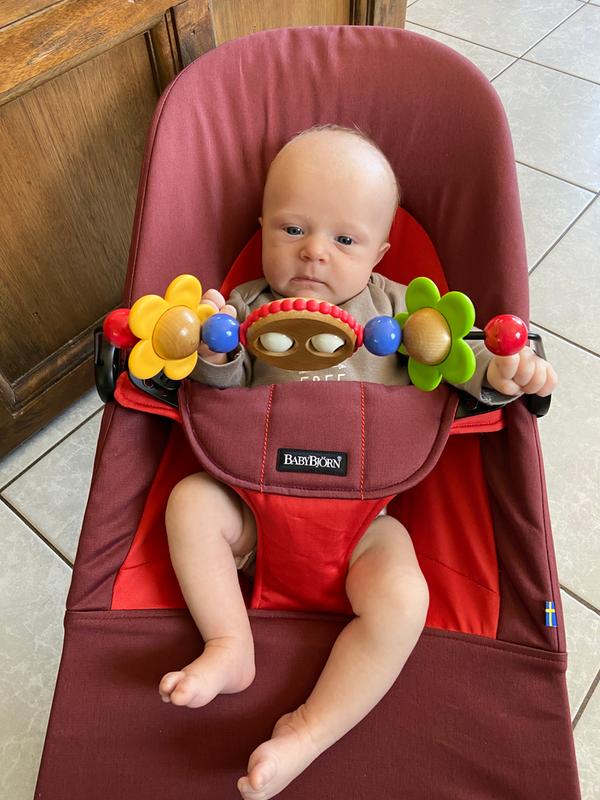 baby bjorn toy bar
