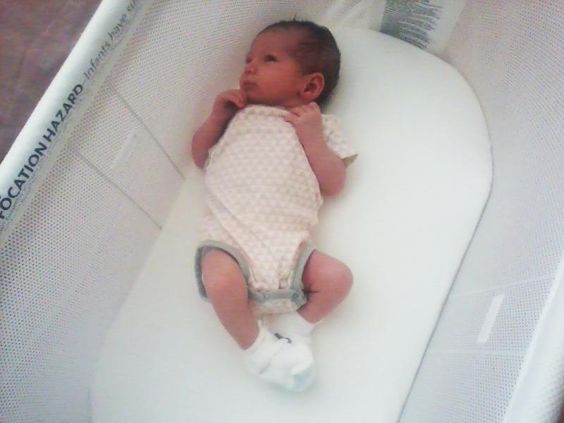 baby bjorn bassinet review