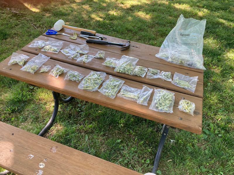 Revisione aperta modale 1 su 6