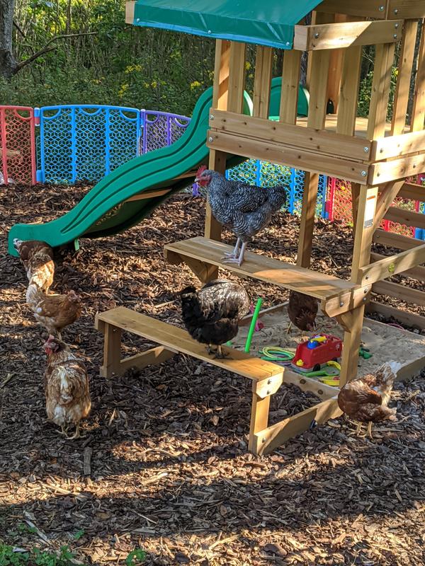 Revisione aperta modale 1 su 2