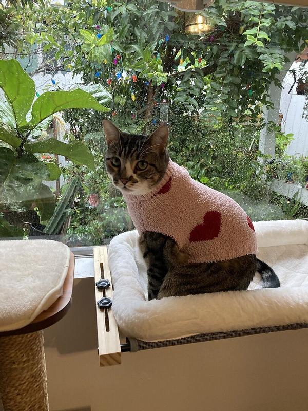 Review Thumbnail Image 0 375773598