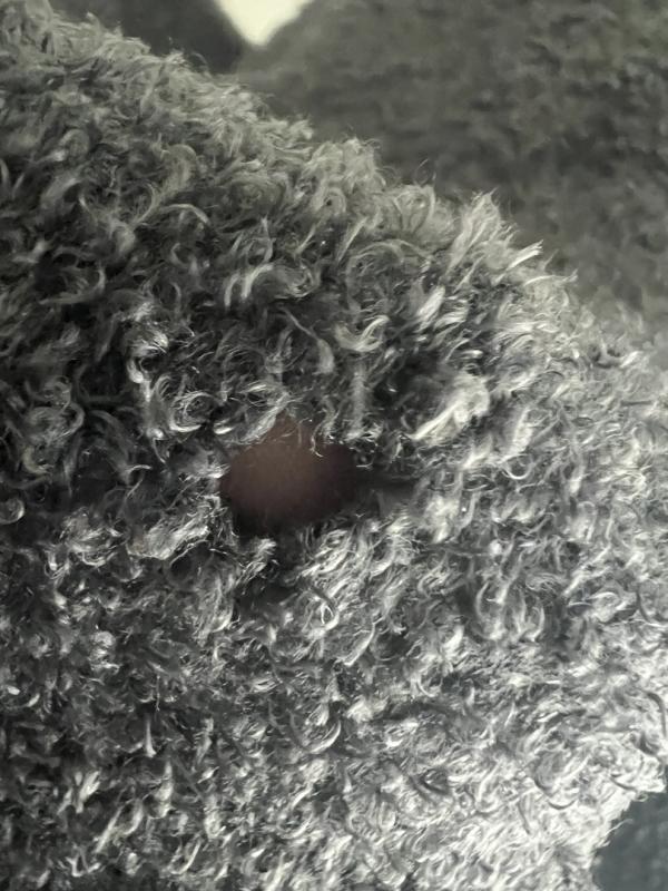 Review Thumbnail Image 1 319384737