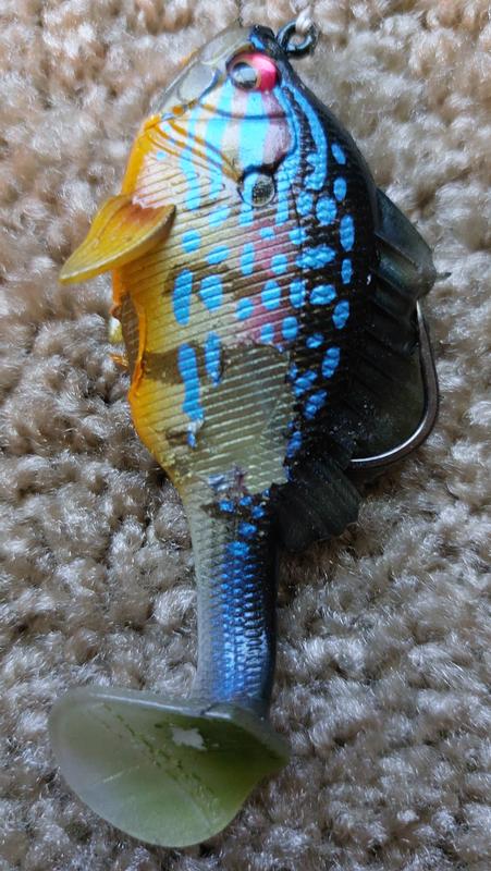 Fishing Lures Bait Rig, Appearance Vivid Lifelike Umbrella Fishing Rig Kit  Set Firm for Mandarin Fish for Saltwater, Lures -  Canada