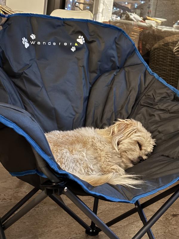  Compact Camping Chairs Different Cute Dog Breeds
