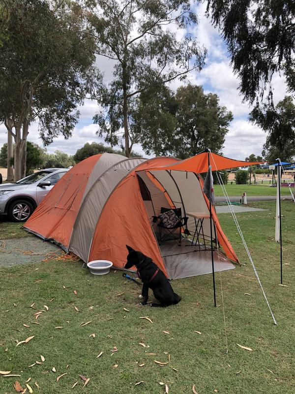 Wanderer larapinta dome clearance tent 10 person