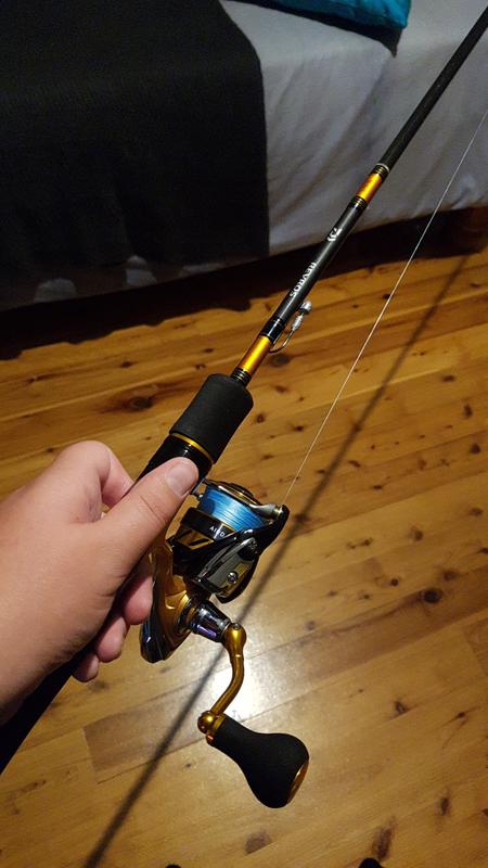 daiwa revros spinning rod