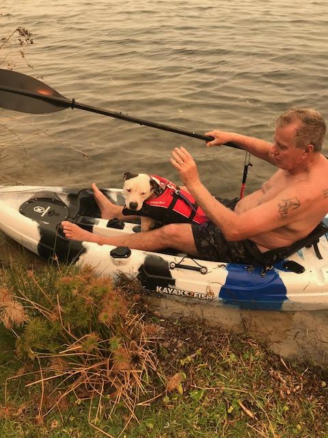 staffy life jacket