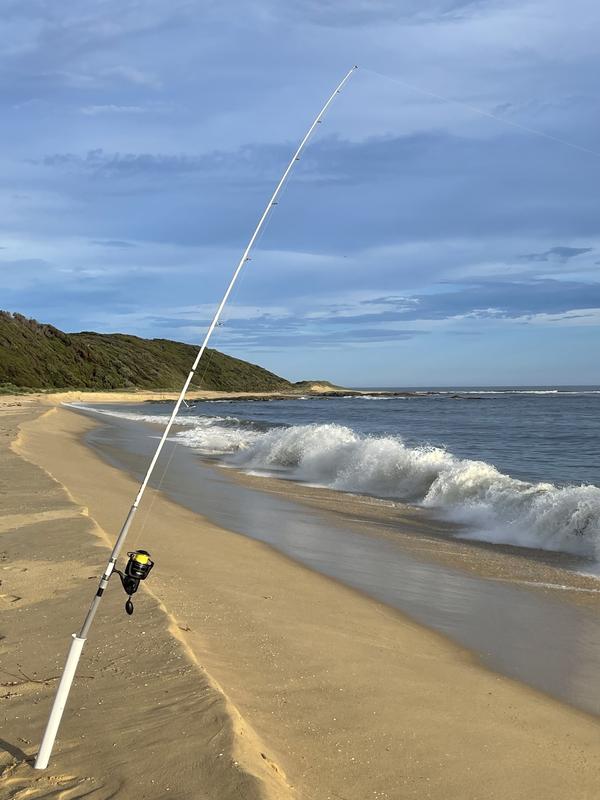 surf fishing rods in Victoria  Gumtree Australia Free Local