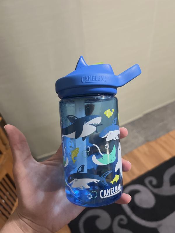 Camelbak shark hot sale water bottle