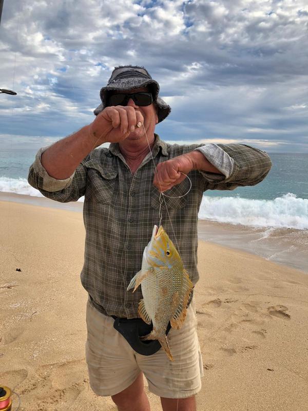 Buy Platypus Lo-Stretch Mono Fishing Line Orange 300m 3kg Online