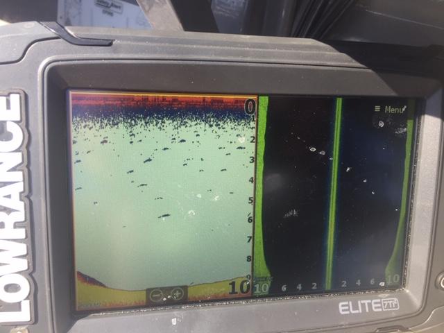 lowrance elite 7 ti2 combo