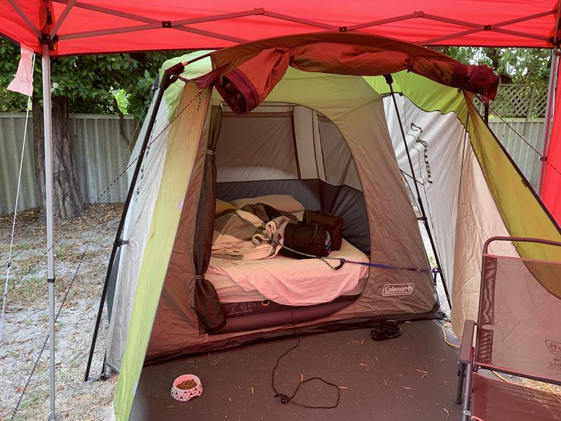 Coleman Excursion Instant Up Tent 4 Person Bcf