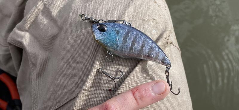 Chasebaits Smuggler Surface Lure 6.5cm