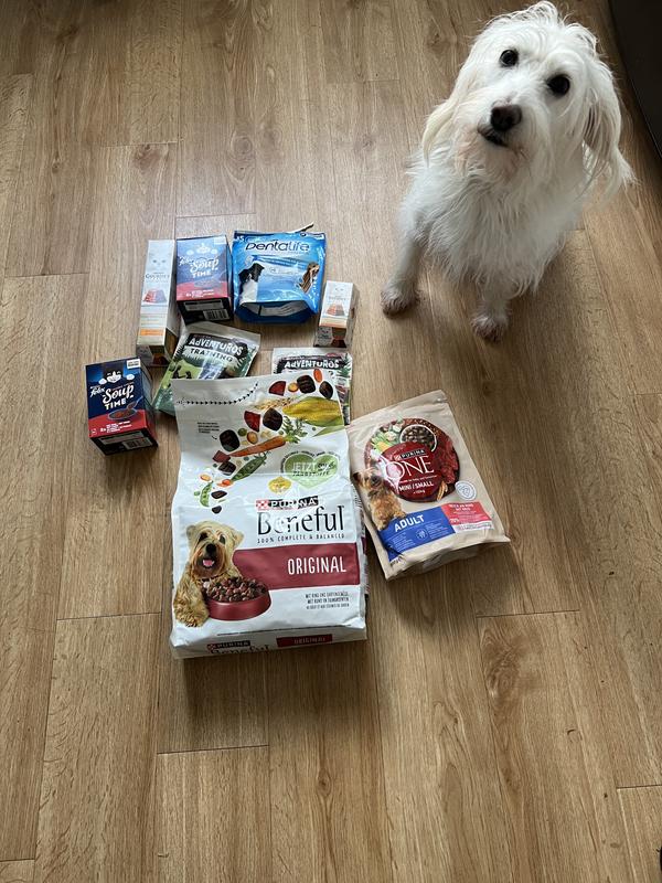 Beneful Hundetrockenfutter Original mit Rind & Gartengemse online kaufen |  rossmann.de