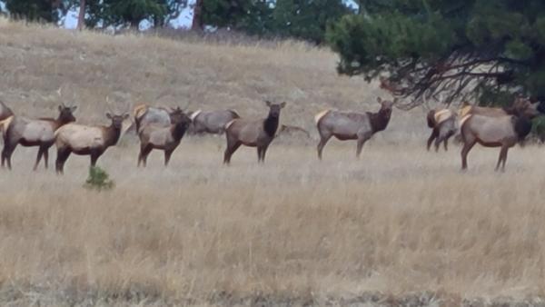 Customer photo 3 of 3. Click to open full size image.