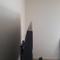 User submitted photo