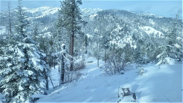 Customer photo 2 of 3. Click to open full size image.