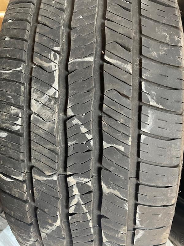 Right Rear middle fine