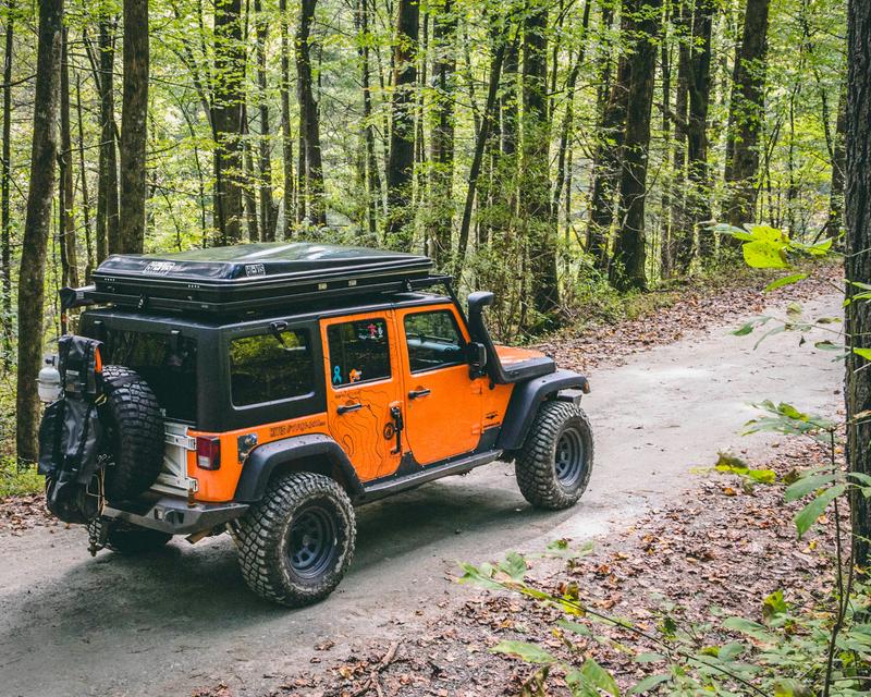 Exploring in Pisgah National Forest