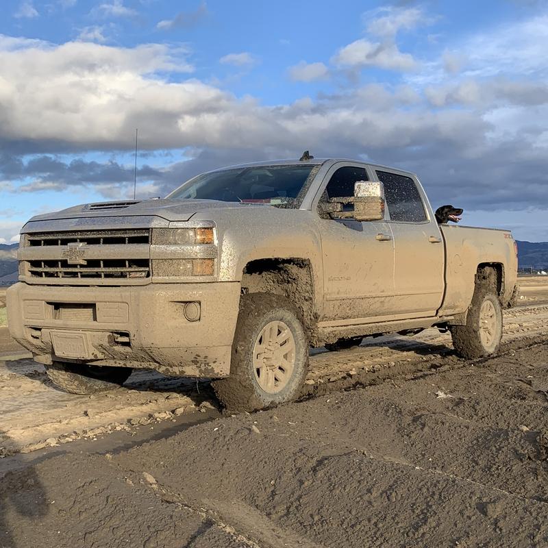 Typical Day At The Office