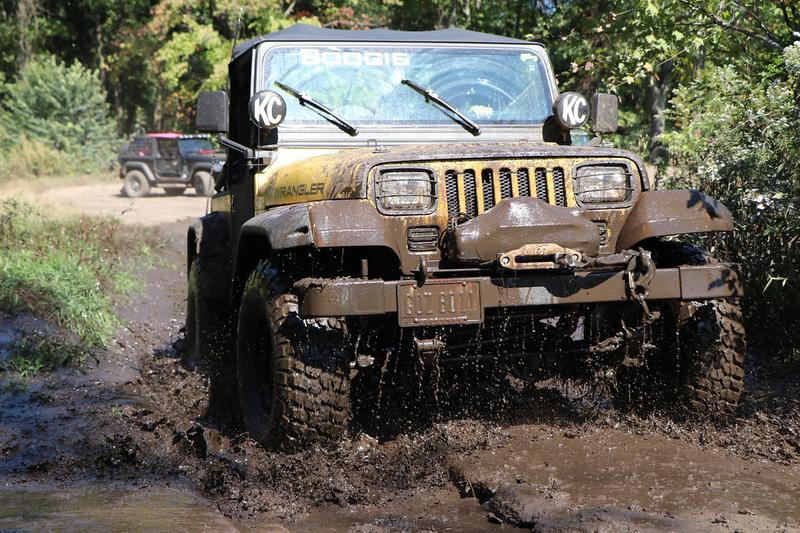 BFG MT KM2 in their natural element.